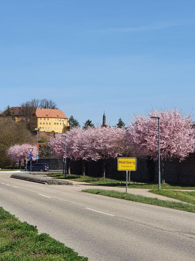 Ferienwohnung Zum Schlossblick Naehe Europa Park Mahlberg Luaran gambar