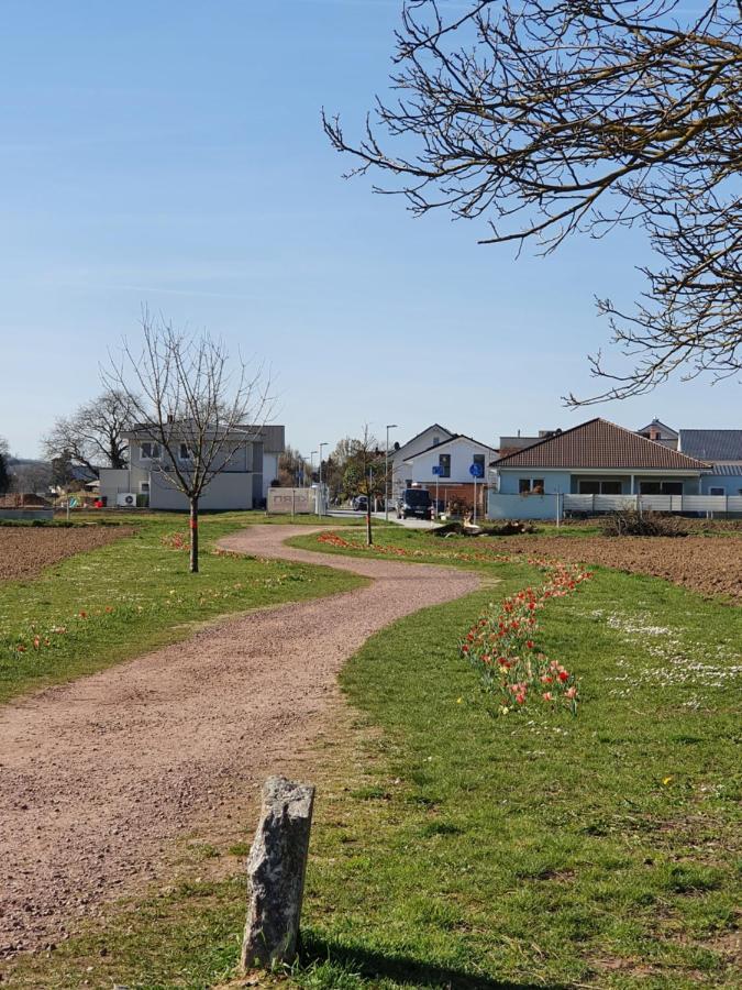 Ferienwohnung Zum Schlossblick Naehe Europa Park Mahlberg Luaran gambar